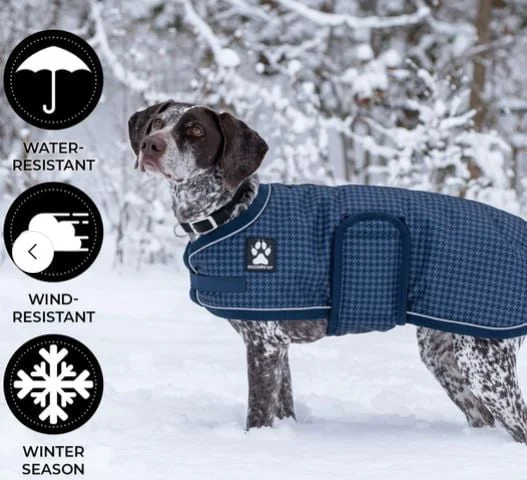 Manteau Hiver Expedition Shedrow K9 pour chien - Image 2