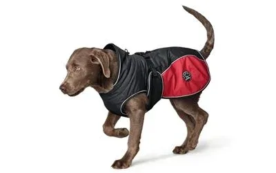 Manteau Uppsala Cozy anthracite/rouge (Taille 25) – Hunter J’ai plus de croquettes