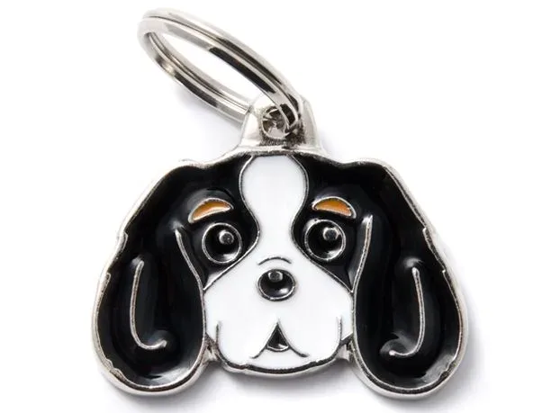 Médaille « Cavalier King Charles tricolor » – MyFamily J’ai plus de croquettes