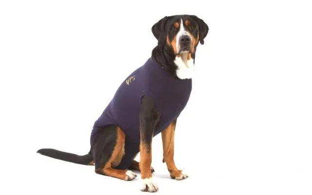 Medical Pet shirt (S) J’ai plus de croquettes