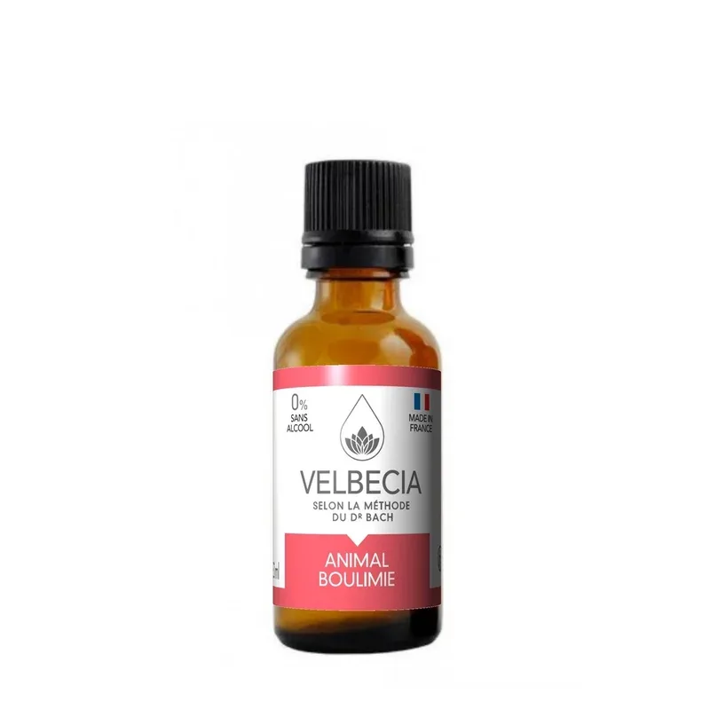 Mélange de fleurs de Bach Animal Boulimie (30 ml) – Velbecia J’ai plus de croquettes