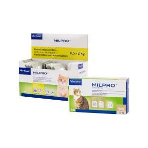 Milpro Chat