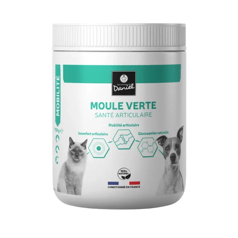 Moule verte – 750 g