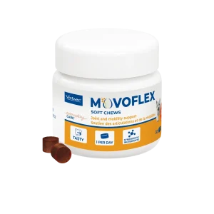 Movoflex chien