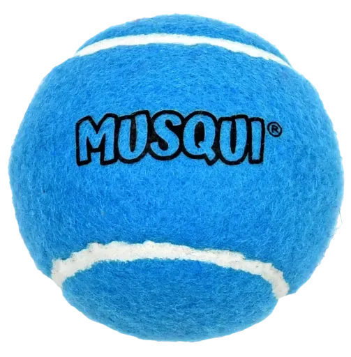 Musqui Balle de tennis turquoise pour chiens – France