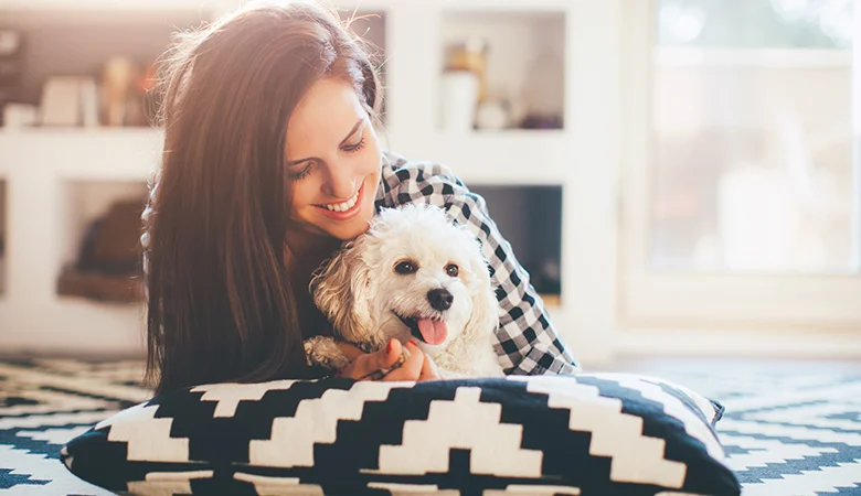 Mycose chez le chien : tout savoir sur la teigne