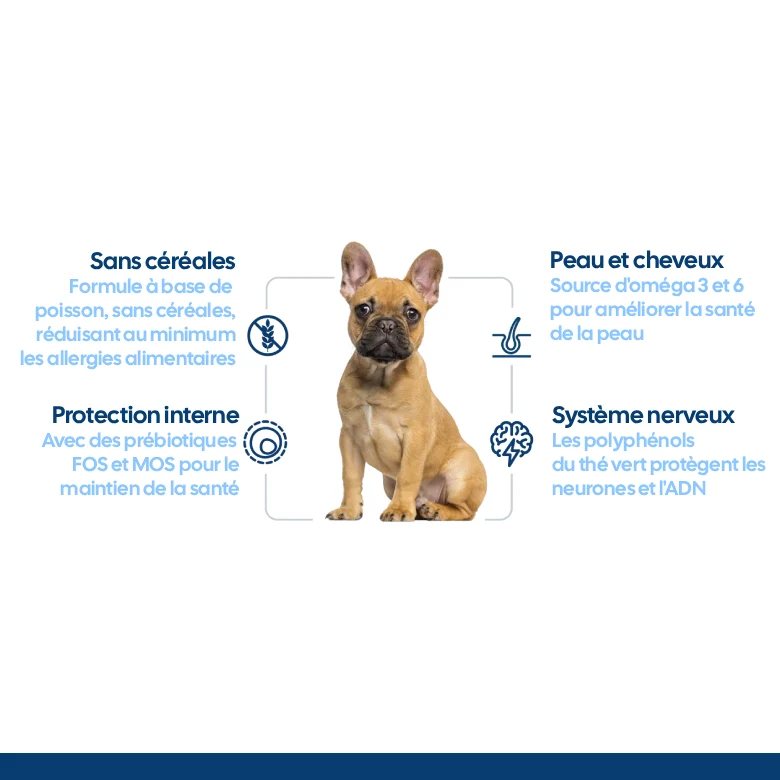 Nath - Croquettes Medium/Maxi Adult Sensitive au Poisson et Saumon pour Chien - Image 2