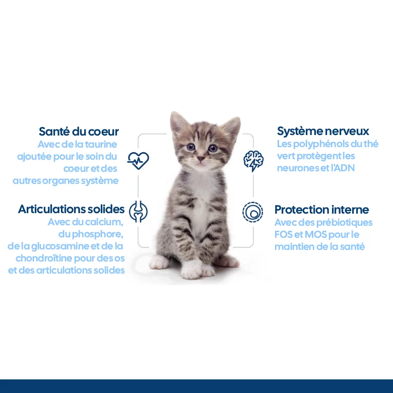 Nath - Pâtée en gelée Kitten Jelly au poulet et saumon pour Chatons de 4 à 12 mois - 70g - Image 2