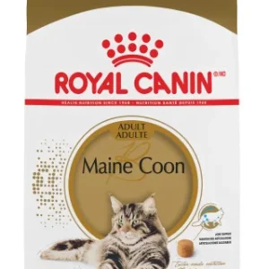 Nourriture pour chats Maine Coon adulte, Royal Canin