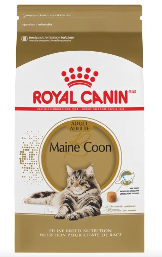 Nourriture pour chats Maine Coon adulte, Royal Canin