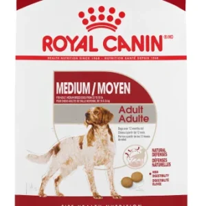 Nourriture pour chiens, moyen adulte Royal Canin