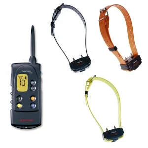 Numaxes CANICOM 1500, colliers dressage pour 3 chiens