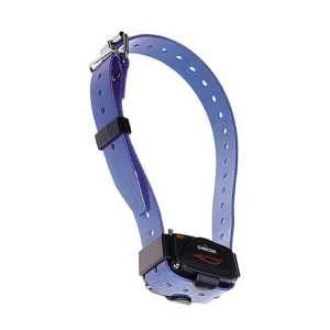 Numaxes CANICOM – Collier Dressage Supplémentaire – Bleu