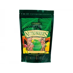 Nutri-Berries Tropical Fruit Parrot