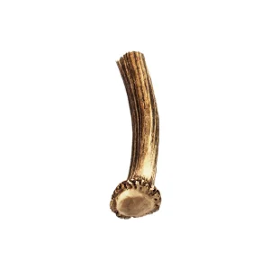 Nutrivia Nature Plus - Bois de Cerf Entier pour Chien