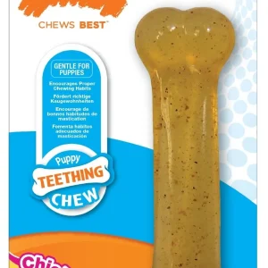 Nylabone - Jouet Os Puppy Teething Chew pour Chien - S