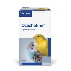 Océcholine