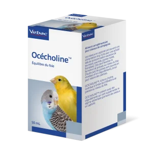 Océcholine oiseau