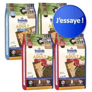 Offre découverte mixte Bosch Adult