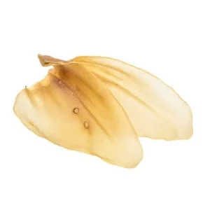 Oreille De Vache