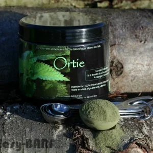 Ortie