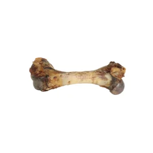 Os de jambon français séché