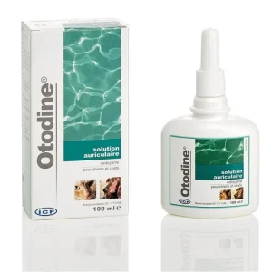 Otodine® 100 ml – Solution auriculaire