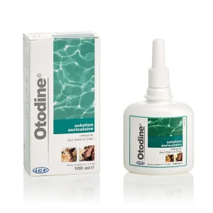 Otodine chien, chat