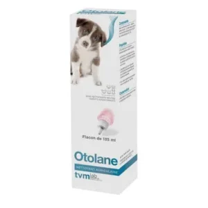 Otolane – placedesvetos.com