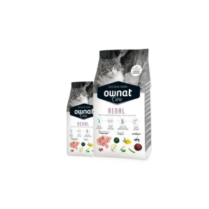 OWNAT – Chat Care Renal