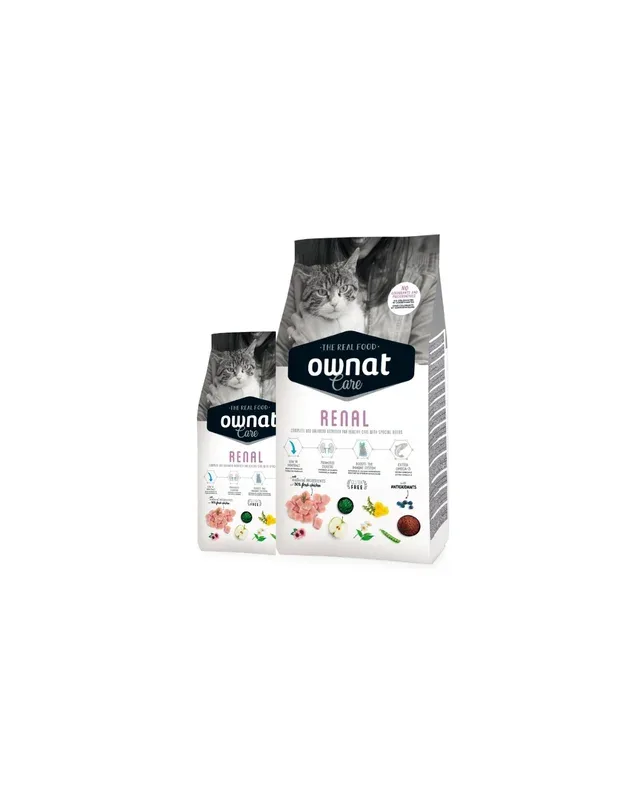 OWNAT – Chat Care Renal