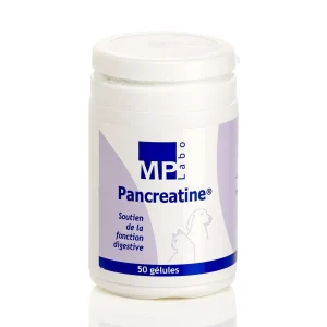 Pancreatine chat, chien