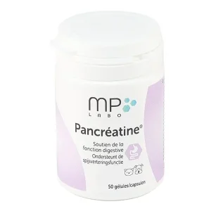 Pancréatine Chat et Chien gélule – Soutien de la Digestion