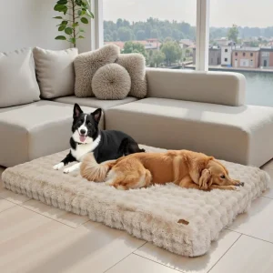 Panier pour chien entièrement déhoussable