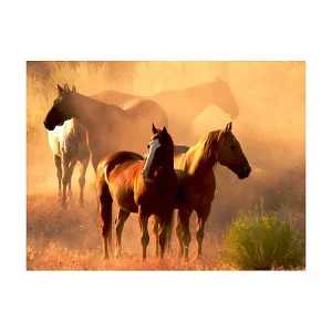 Papier peint intissé panoramique animaux chevaux sauvages en pleine steppe 300×231 cm