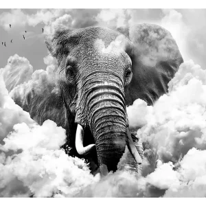 Papier peint intissé panoramique animaux elephant in the clouds (black and white) 200×140 cm