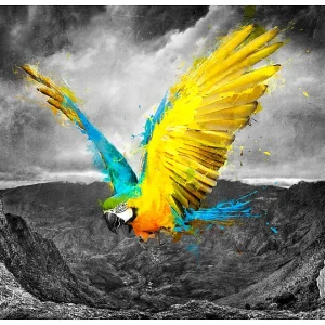 Papier peint intissé panoramique animaux exotic parrot 250×193 cm