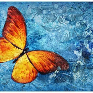 Papier peint intissé panoramique animaux fiery butterfly 400×309 cm
