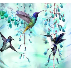 Papier peint intissé panoramique animaux flying hummingbirds (green) 250×175 cm
