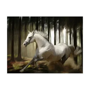 Papier peint intissé panoramique animaux la course du cheval blanc 250×193 cm