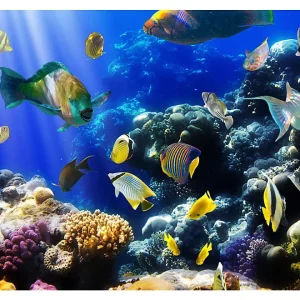 Papier peint intissé panoramique animaux underwater adventure 100×70 cm