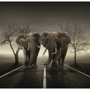 Papier peint intissé panoramique animaux ville d’éléphants 350×270 cm
