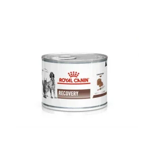 Pâtée Royal Canin Cat/Dog Recovery En Boîte