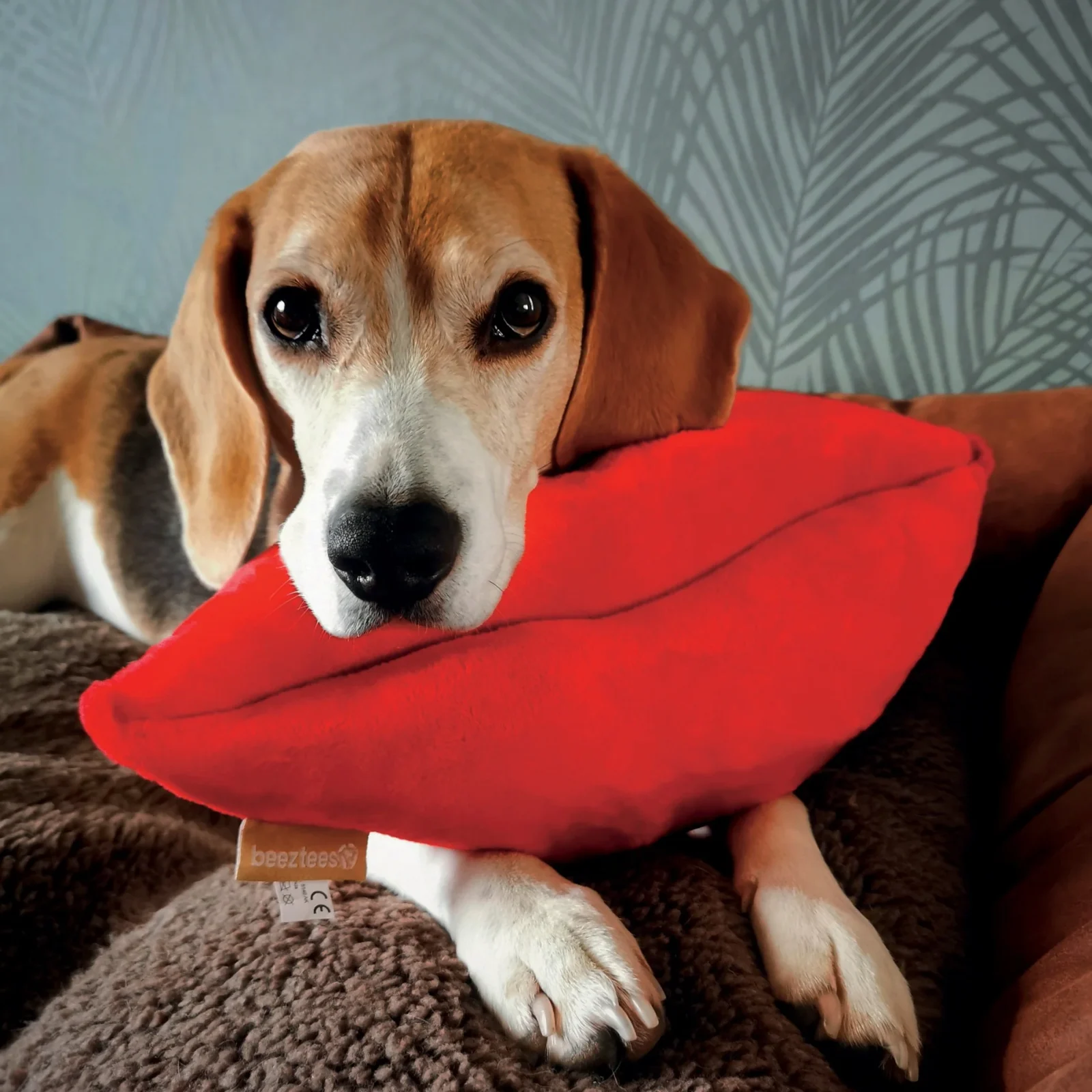 Peluche Kiss chien - Image 2