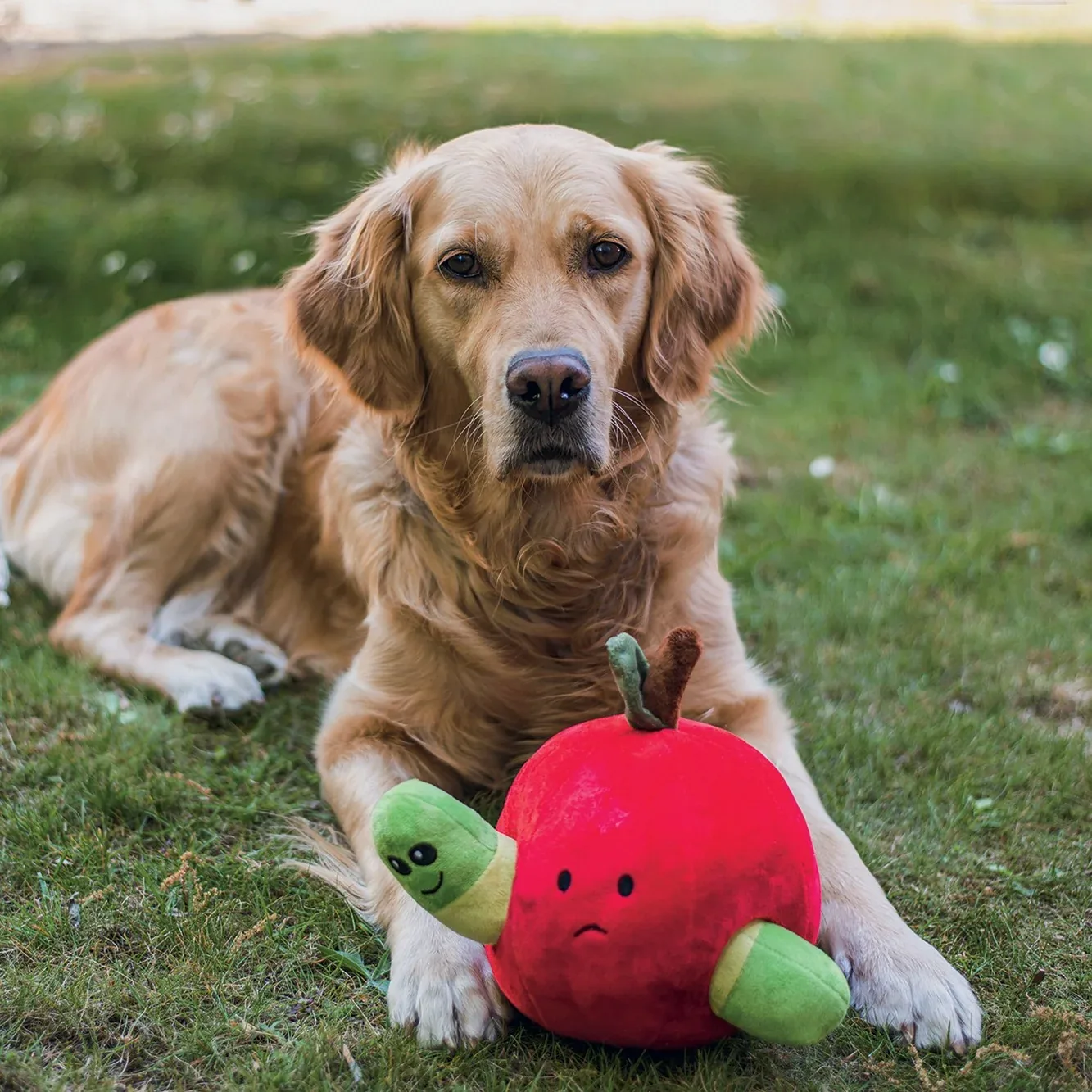 Peluche pomme chien - Image 2
