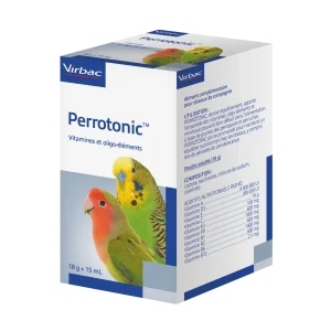 Perrotonic oiseaux