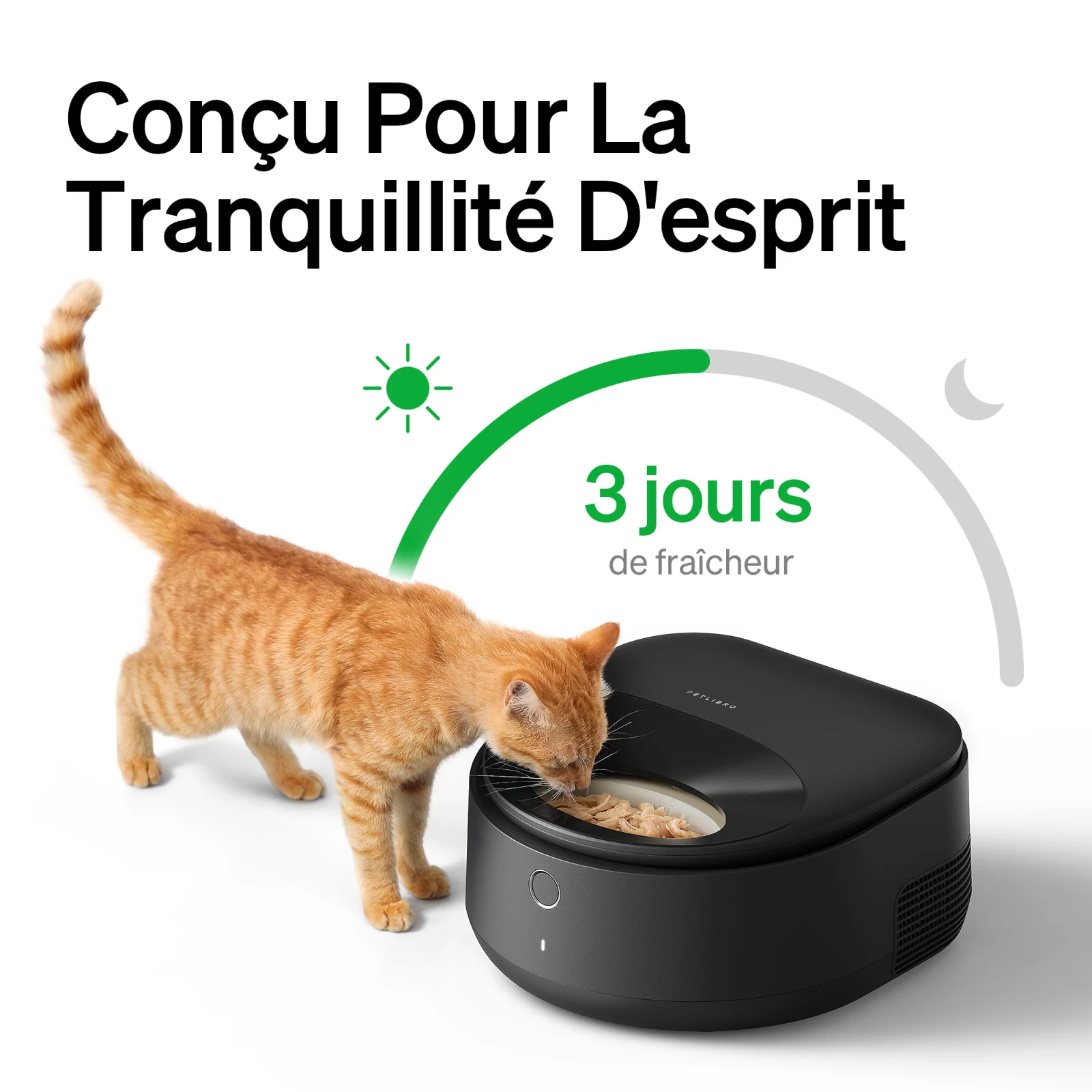 Petlibro - Distributeur Automatique de Pâtée Polar pour Chats - Noir - Image 2