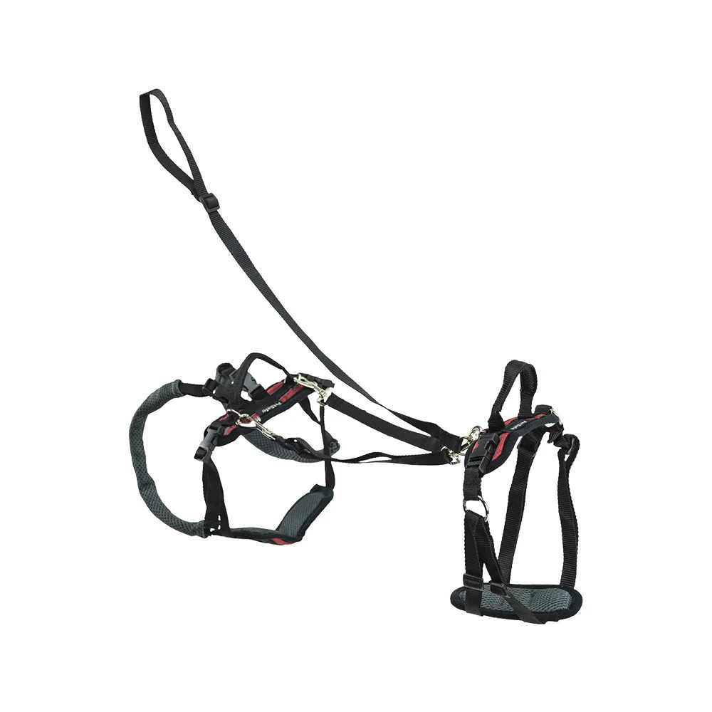 Petsafe Carelift - Harnais de Portage pour Chien
