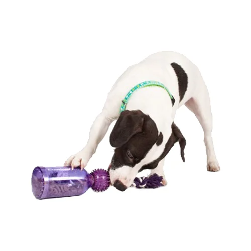 PetSafe Tug-a-Jug | Jouet pour Chien