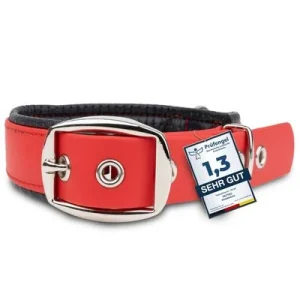 PetTec collier de chien végétalien